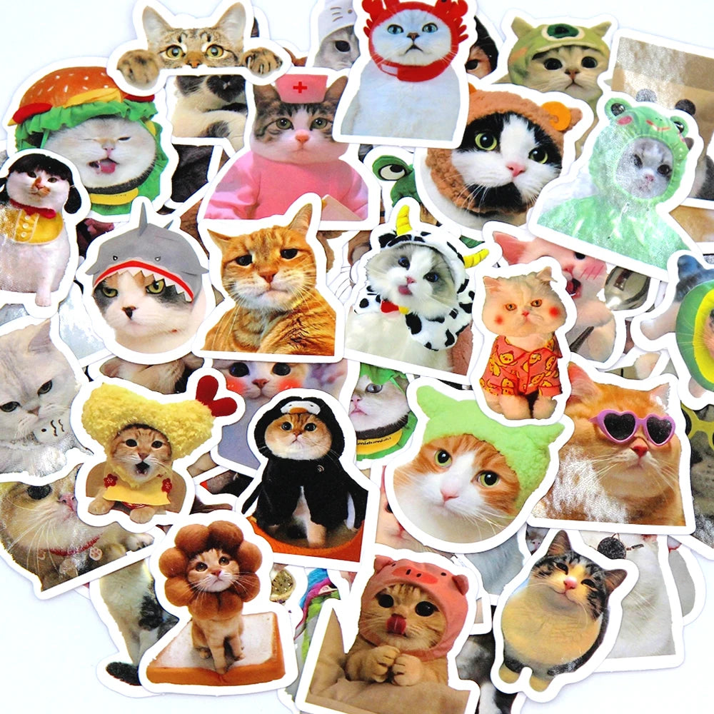 Funny Cat Sticker Pack, Cute Waterproof Decals for Cat Lovers