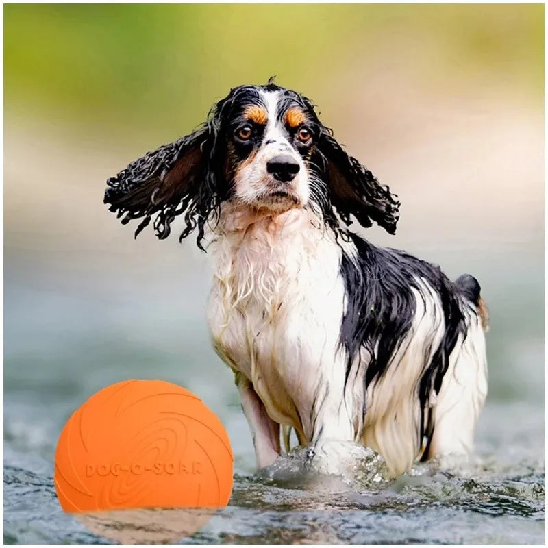 Silicone Dog Frisbee, Bite-Resistant Flying Disc, Assorted Colors