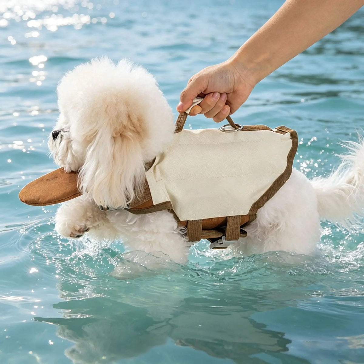Dog Life Jacket with Rescue Handle & Chin Float, Pet Swim Vest