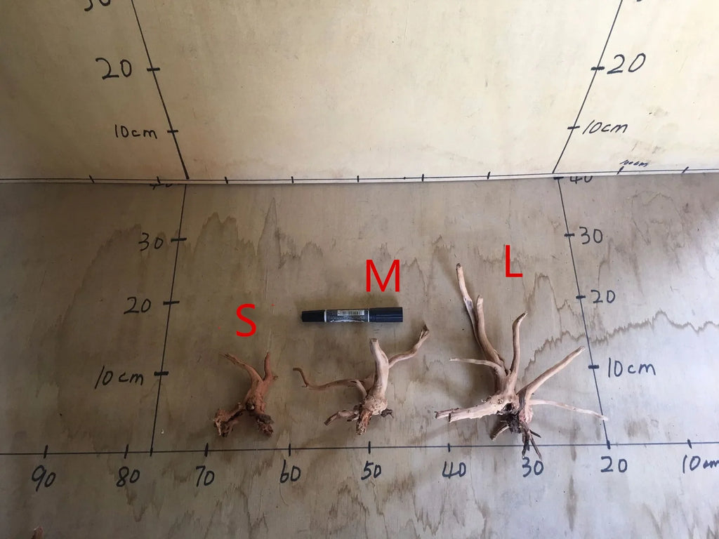 Natural Driftwood Tree Trunk Decor for Aquariums and Reptile Tanks