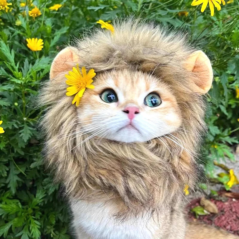 Halloween Lion Mane Wig Costume Hat with Ears for Cats & Small Dogs