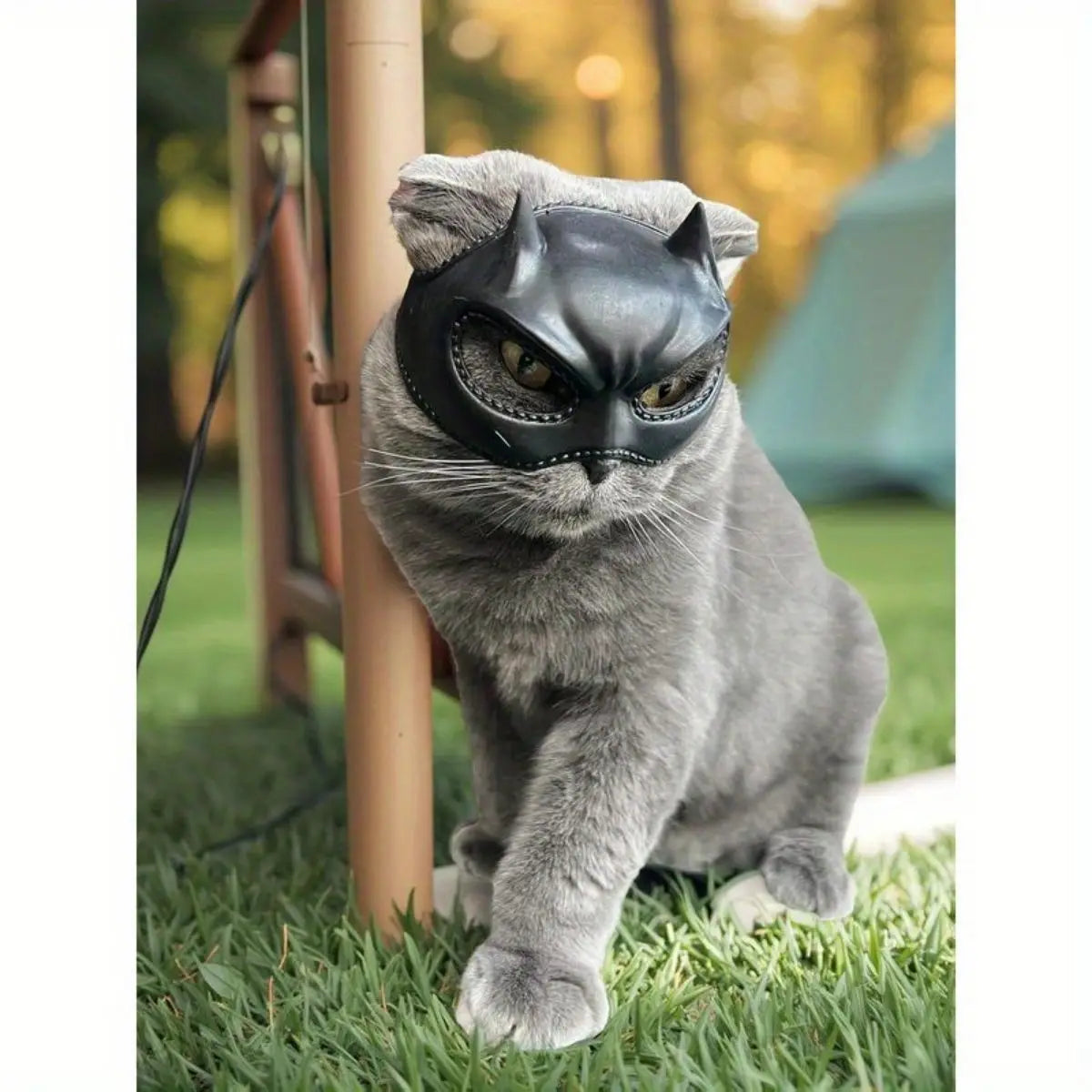 Halloween Bat Wing Cat Hood, Cute Pet Costume Headpiece