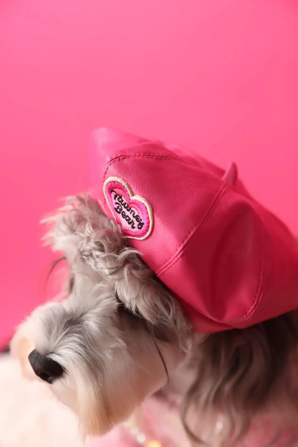 Faux Leather Pumpkin Hat for Dogs, Cute Fall Photo Prop Cap for Pets