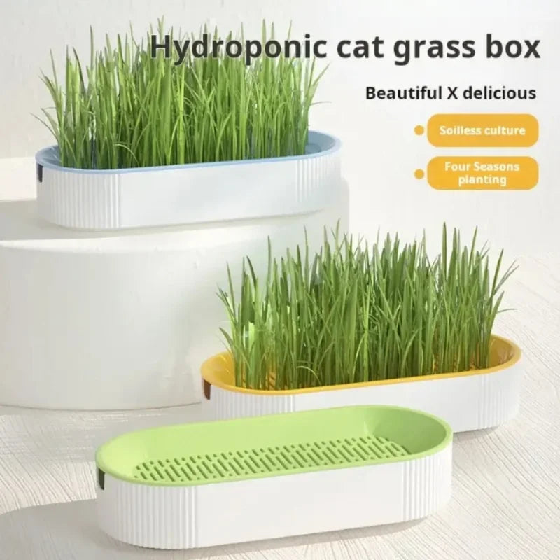Hydroponic Cat Grass Grow Kit, Soil-Free Planter for Indoor Cats