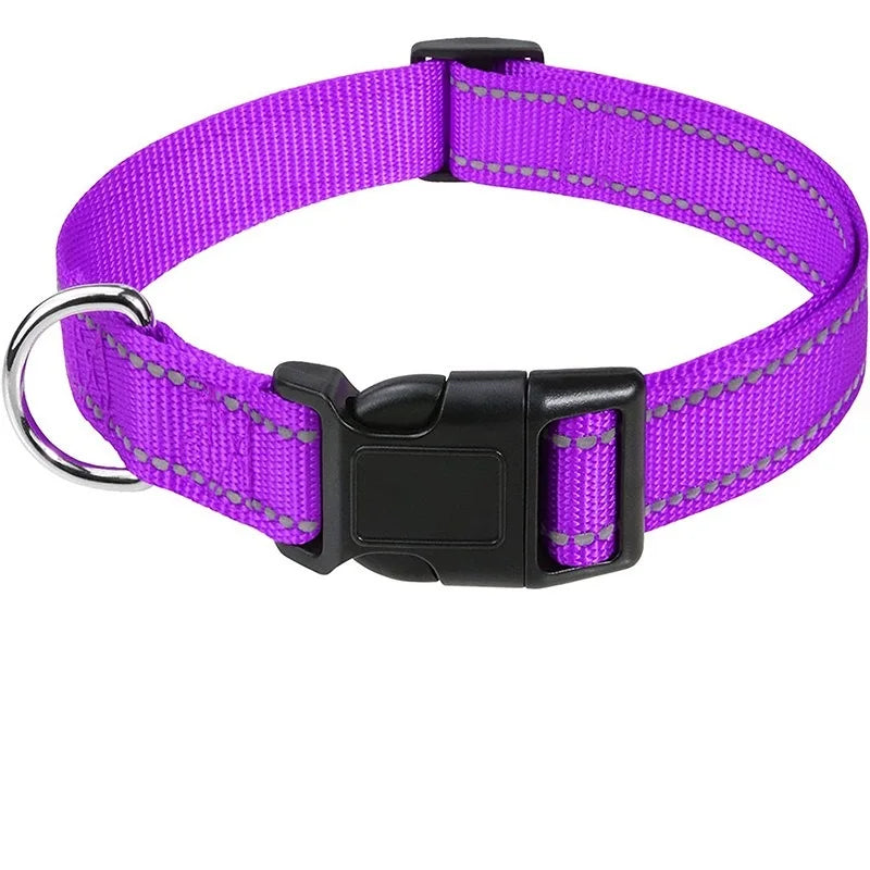 Adjustable Nylon Dog Collar, Soft Buckle Collar for Puppies & Dogs