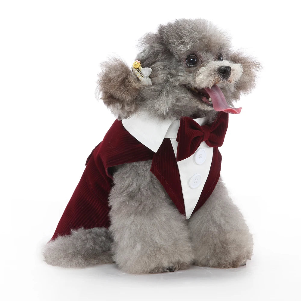 Dog Tuxedo Formal Suit, Christmas & Halloween Party Costume