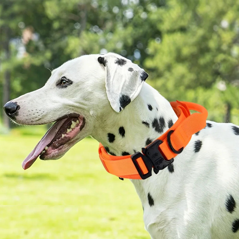 Heavy-Duty Tactical Dog Collar with Control Handle for Large Dogs