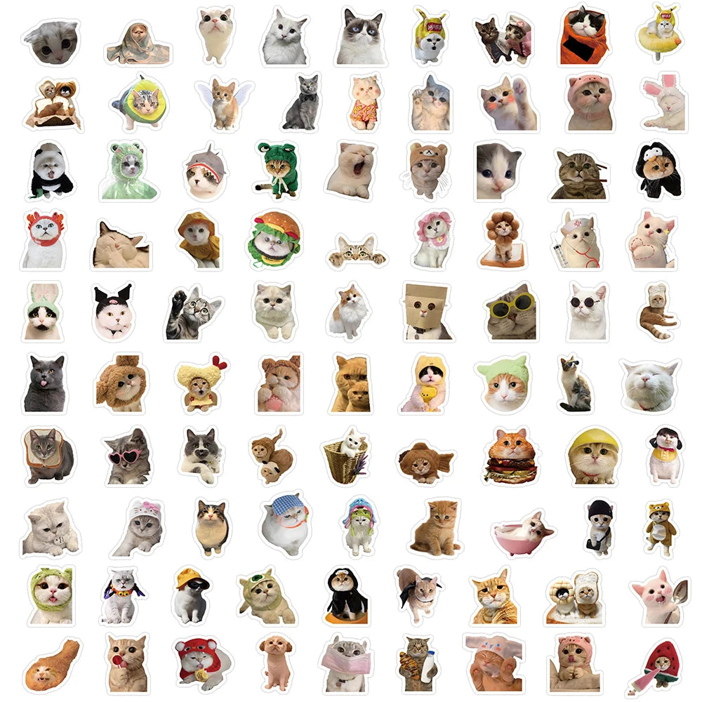 Funny Cat Sticker Pack, Cute Waterproof Decals for Cat Lovers
