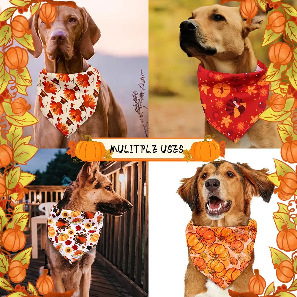 Thanksgiving Pet Bandana with Pumpkins and Maple Leaves, Adjustable