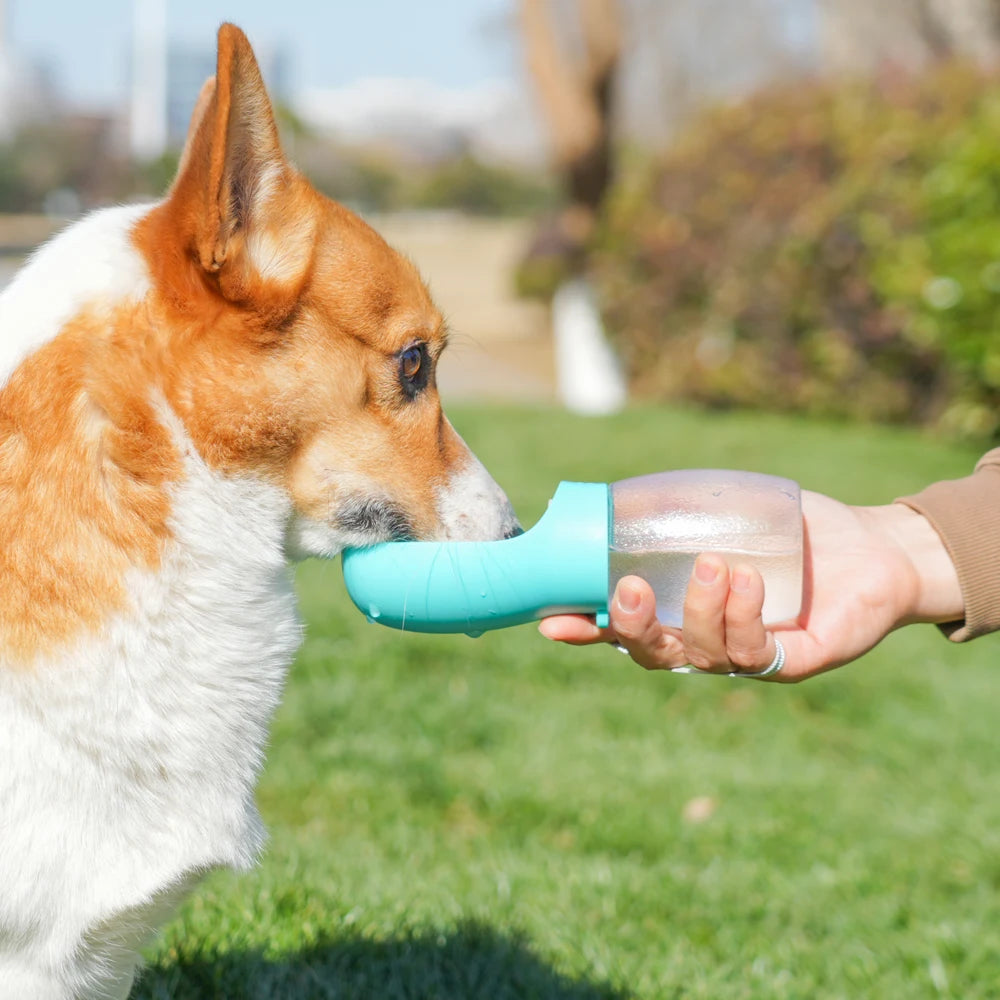 Portable Dog Water Bottle with Drinking Bowl for Walks & Hikes
