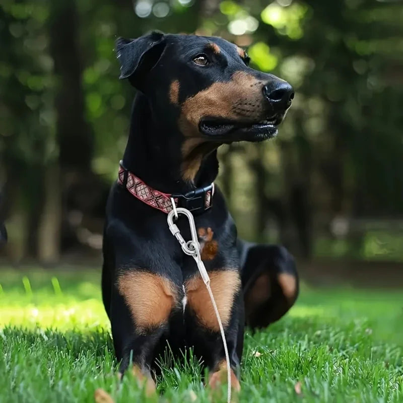 Double-Headed Dog Tie Out Cable, Rust-Proof Steel Wire Leash