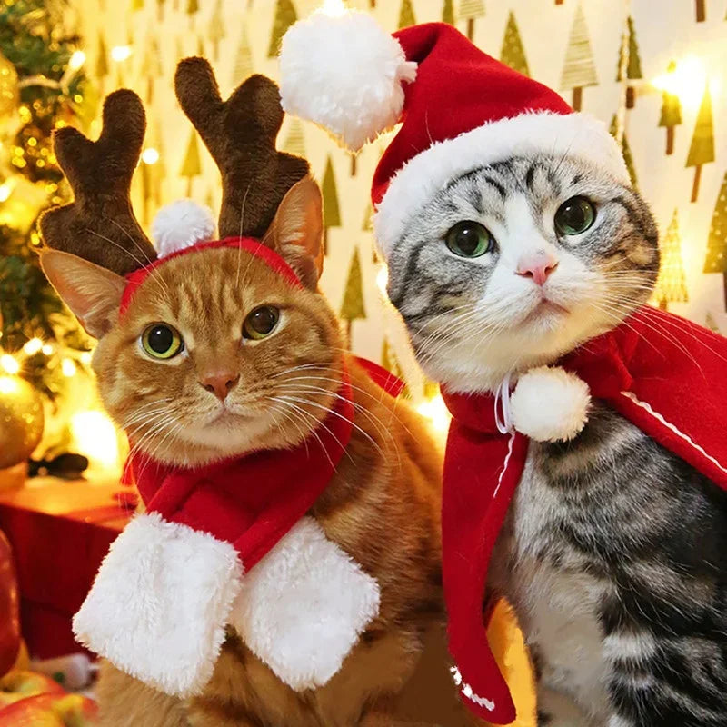 Santa Claus Pet Costume for Dogs & Cats