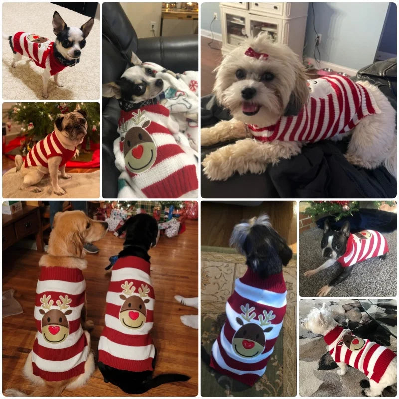 Soft Warm Christmas Turtleneck Dog Sweater for Small Dogs