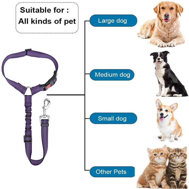 2-in-1 Dog Harness with Leash and Car Seat Belt Strap