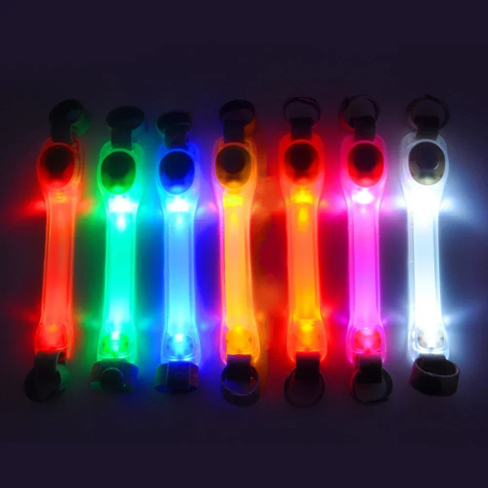 Glowing LED Anti-Lost Dog Collar with Pendant, Waterproof