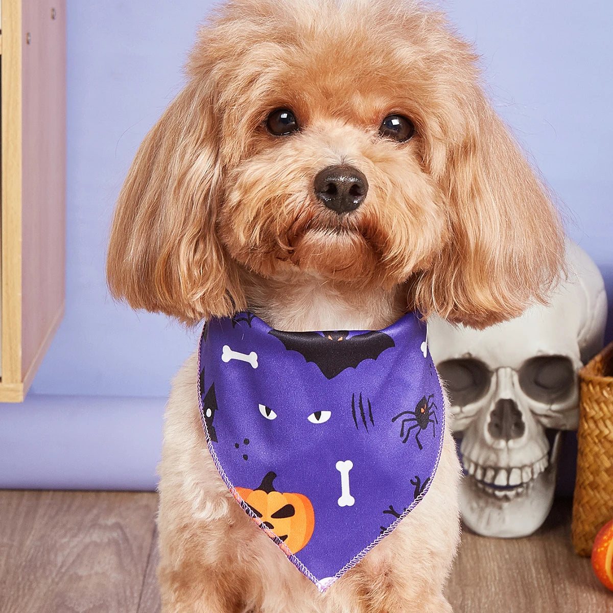 Halloween Dog Bandana with Pumpkin & Spider Web Print, Adjustable
