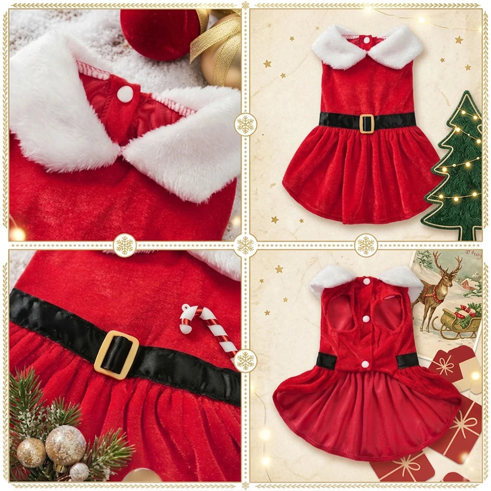 Santa Velvet Pet Dress with White Collar for Dogs & Cats