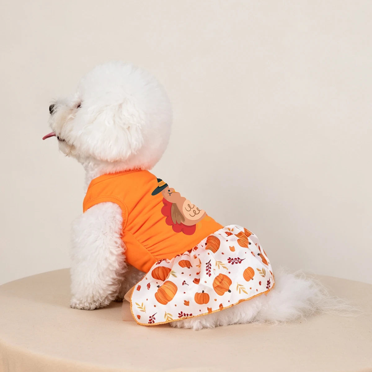 Fall Thanksgiving Pumpkin Print Dog Dress for Small & Medium Dogs
