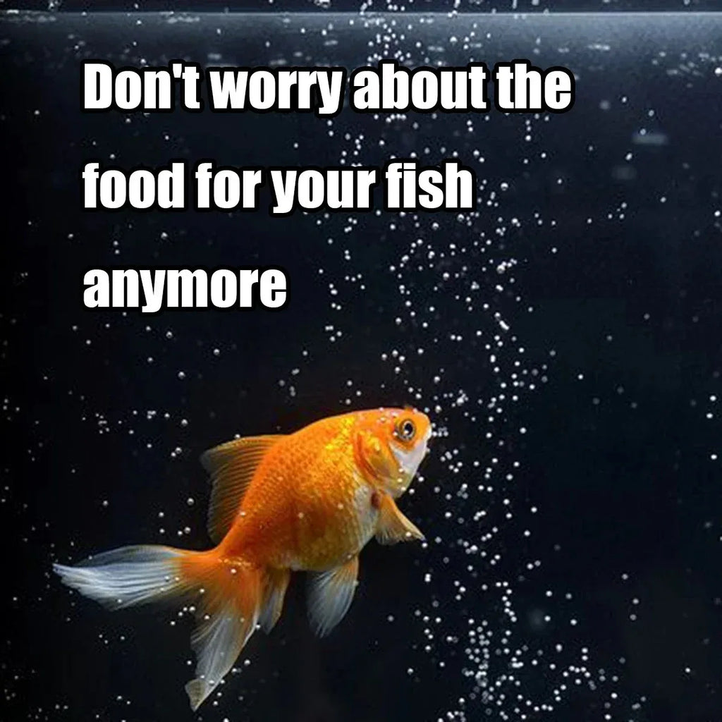 Automatic Fish Feeder with Programmable Timer for Aquarium Tanks