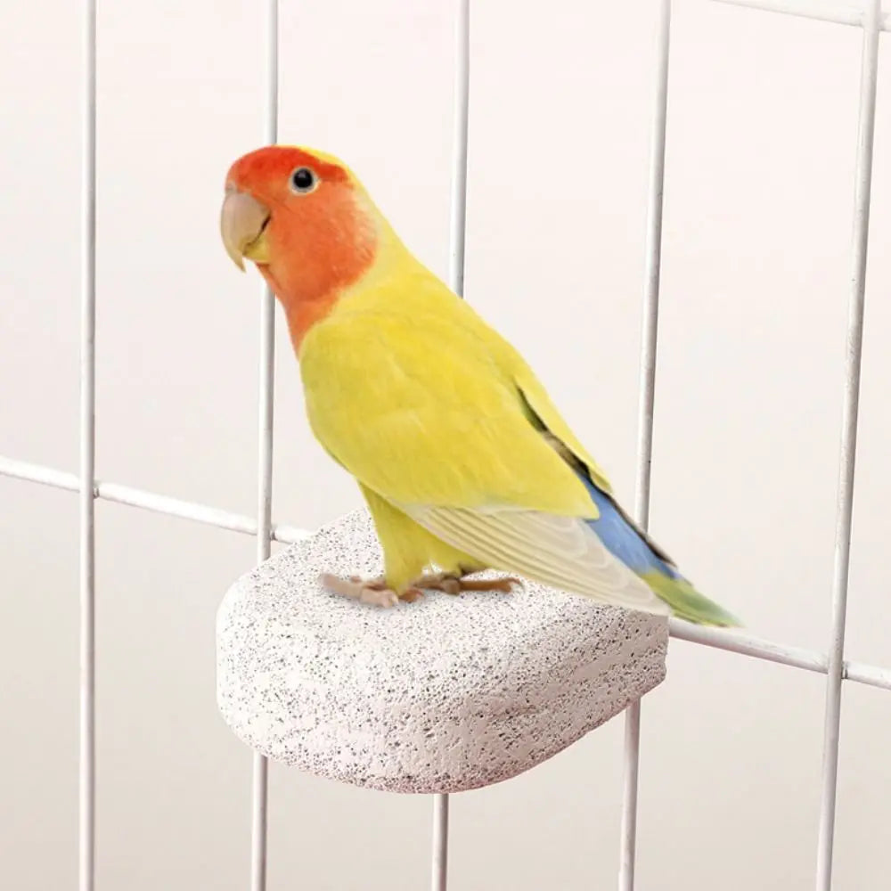 Pumice Bird Perch Platform for Parrots, Claw & Beak Grinding Stand