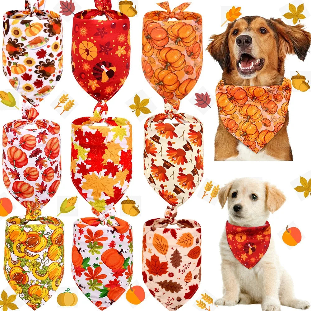 Thanksgiving Pet Bandana with Pumpkins and Maple Leaves, Adjustable