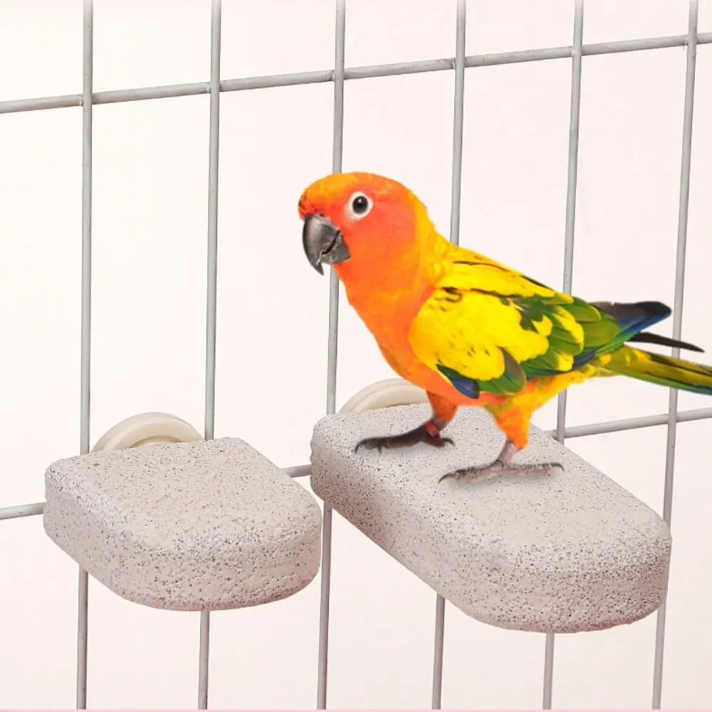 Pumice Bird Perch Platform for Parrots, Claw & Beak Grinding Stand