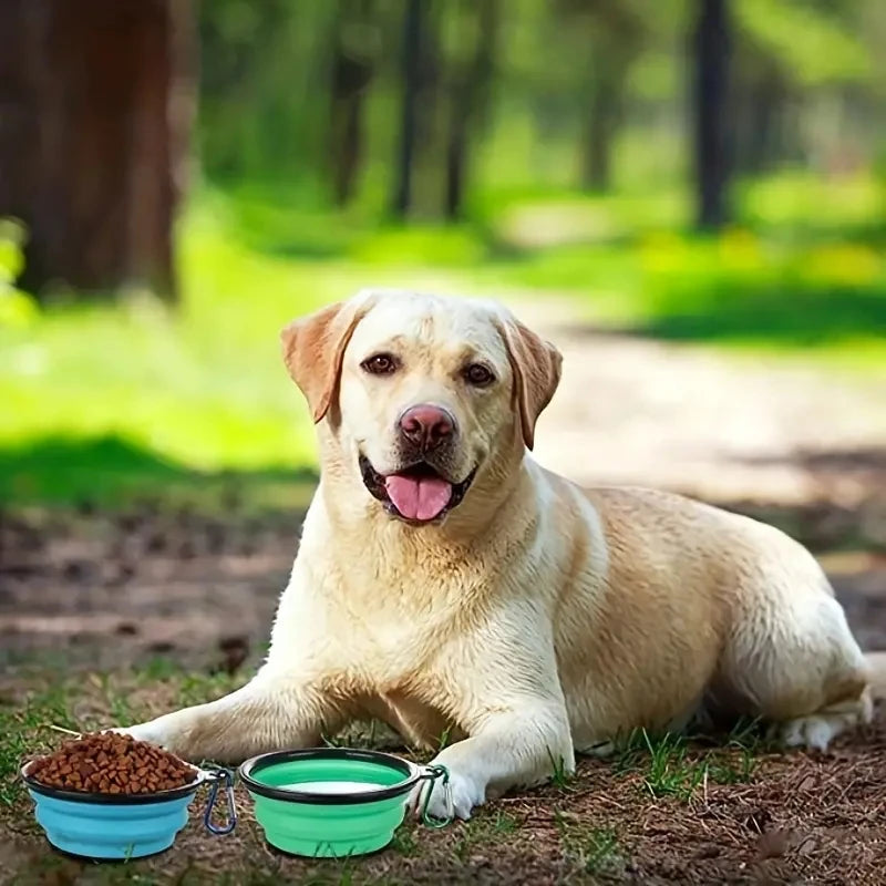 2-Pack Collapsible Travel Dog Bowls with Lids, Portable