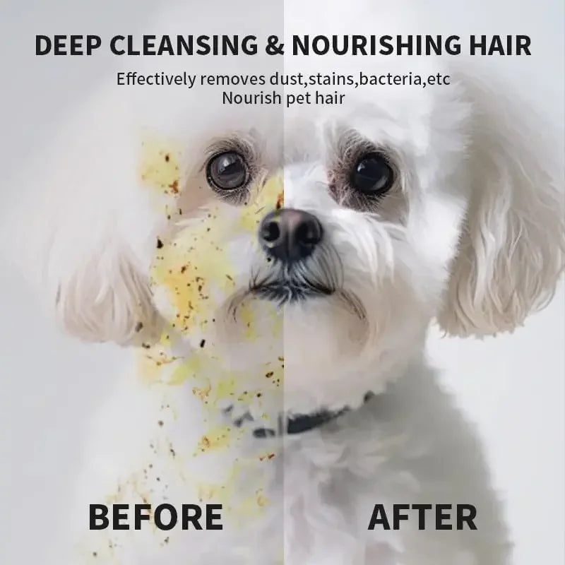 Extra-Thick Unscented Pet Cleaning Wipes for Dogs & Cats, 6 Pack