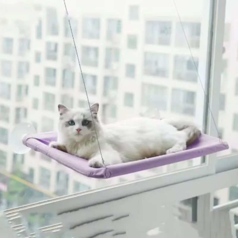 Wall-Mounted Cat Hammock with Climbing Frame, Holds Up to 44 lb
