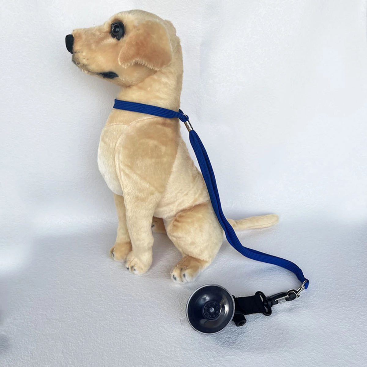 Adjustable Pet Grooming Loop for Bathing and Nail Trims