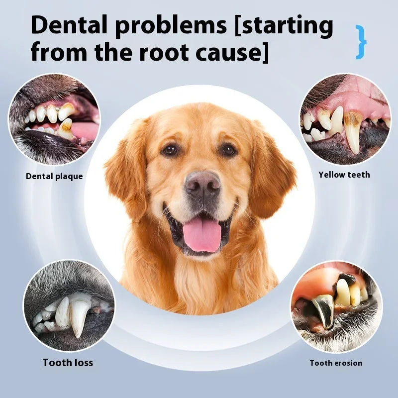 Ultrasonic Pet Tooth Cleaner for Dogs & Cats, Tartar & Plaque Remover