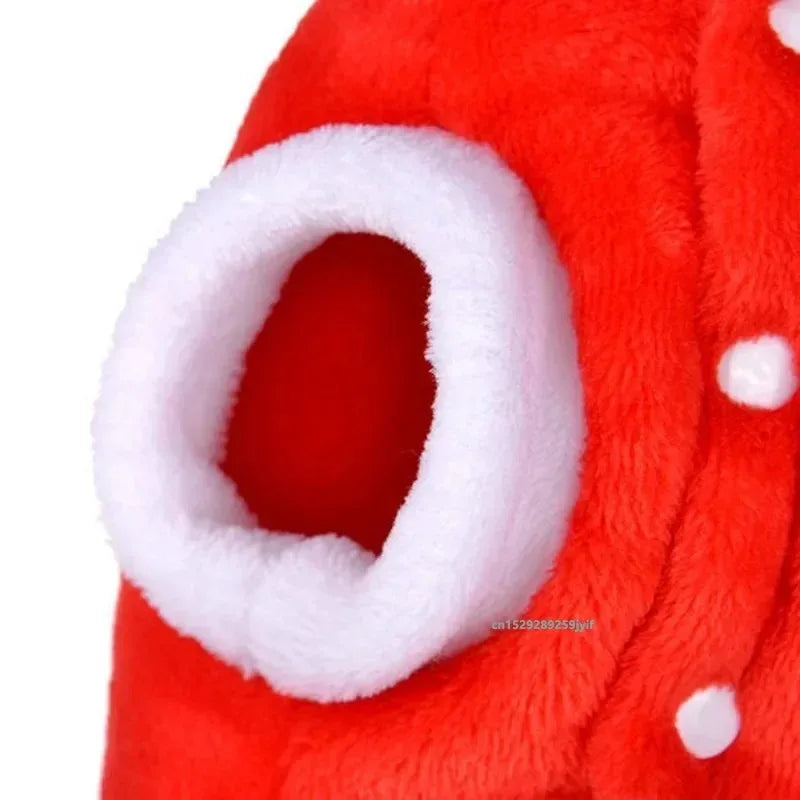 Christmas Dog Hoodie with Antlers, Festive Red Winter Pet Coat
