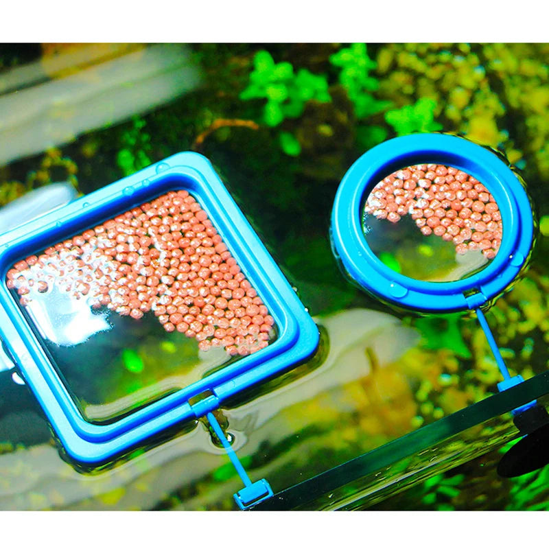 Floating Aquarium Feeding Ring with Suction Cup, Fish Food Feeder Station