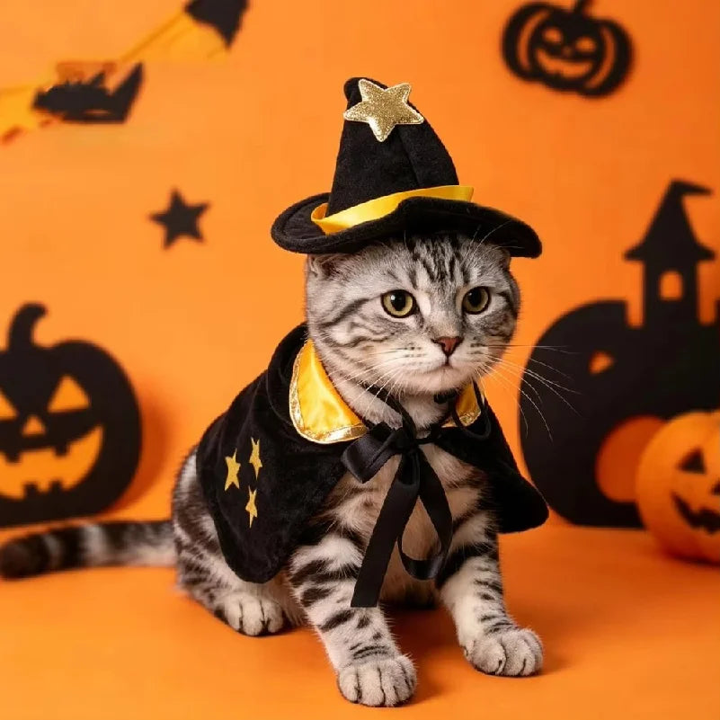 Halloween Witch Cape and Hat Costume for Cats and Small Dogs