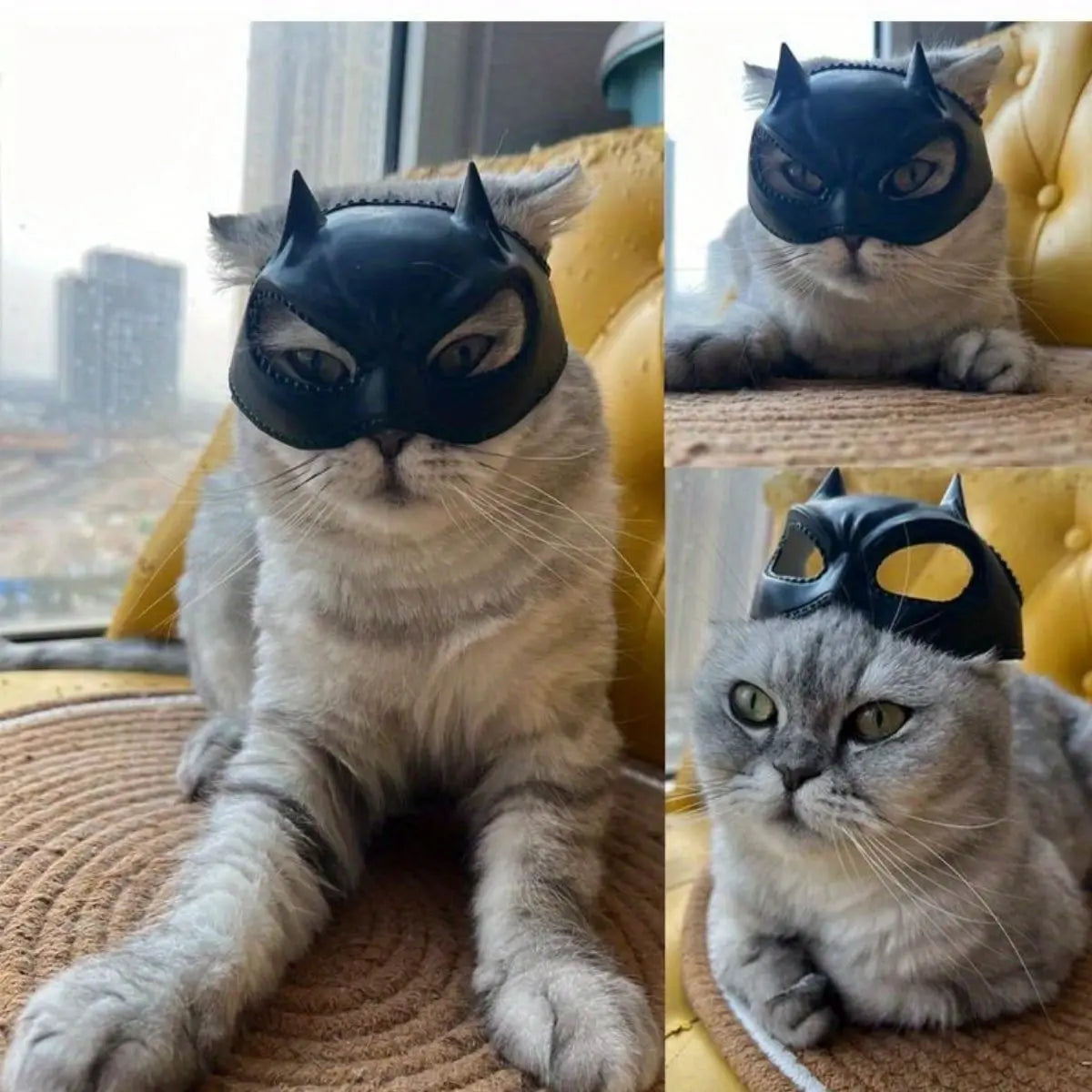 Halloween Bat Wing Cat Hood, Cute Pet Costume Headpiece