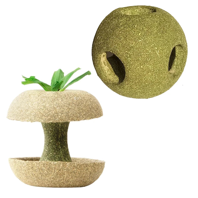 Dust-Free Walnut Sand Bedding Litter for Hamsters and Small Pets