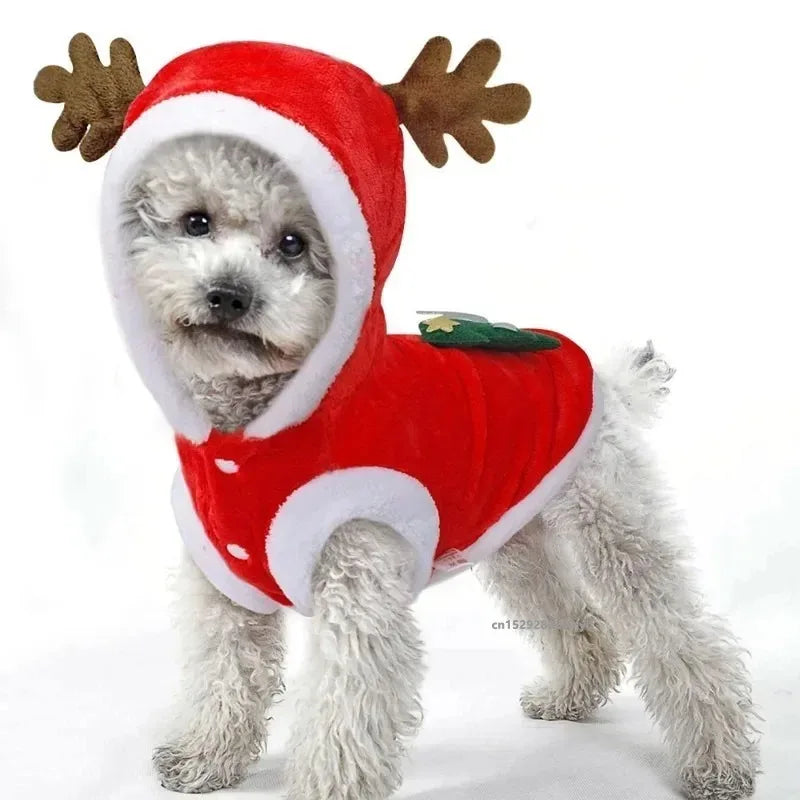 Christmas Dog Hoodie with Antlers, Festive Red Winter Pet Coat