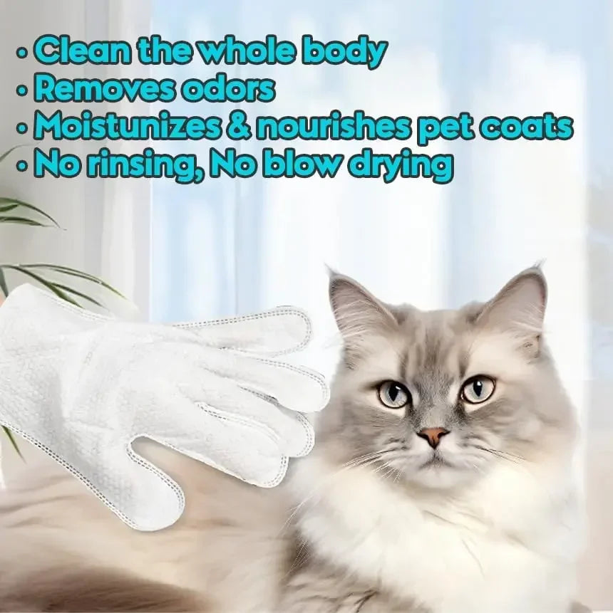 Extra-Thick Unscented Pet Cleaning Wipes for Dogs & Cats, 6 Pack