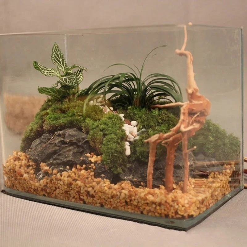 Natural Driftwood Tree Trunk Decor for Aquariums and Reptile Tanks