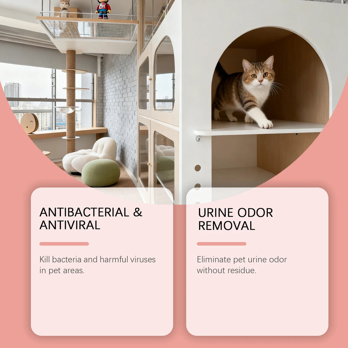Pet Urine Odor Eliminator for Carpets, Floors & Furniture
