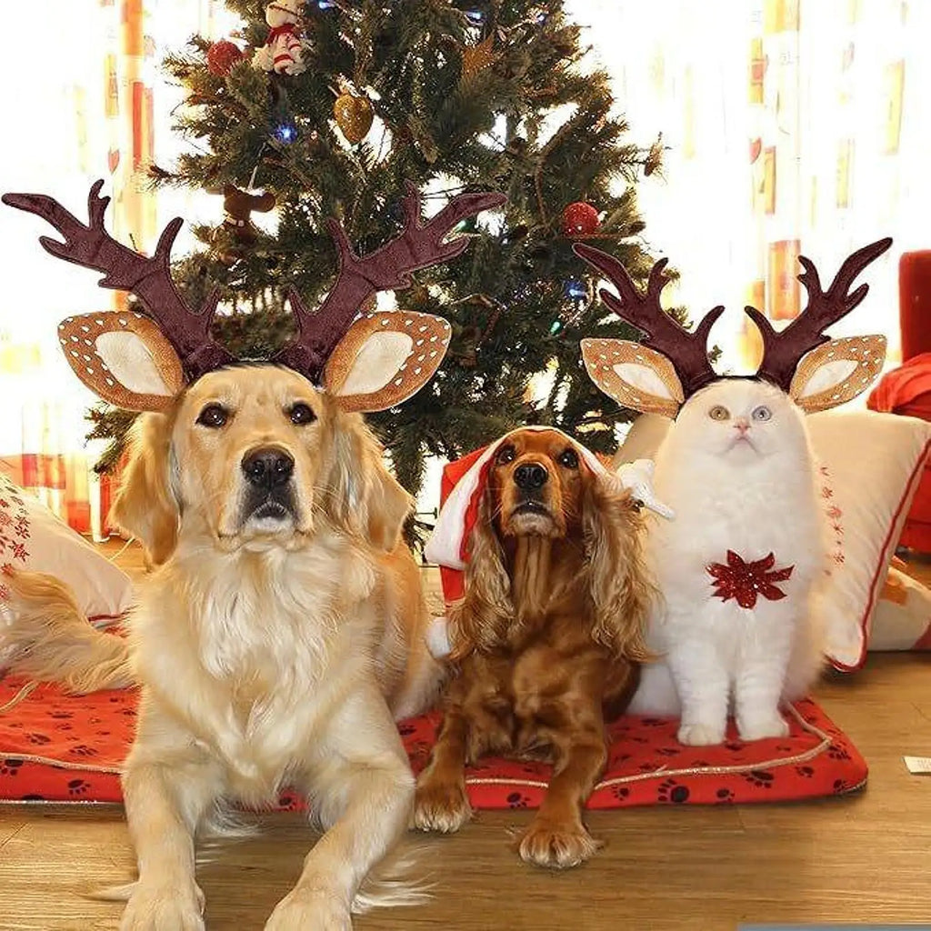 Christmas Reindeer Antlers Headband for Dogs & Cats, Holiday Costume