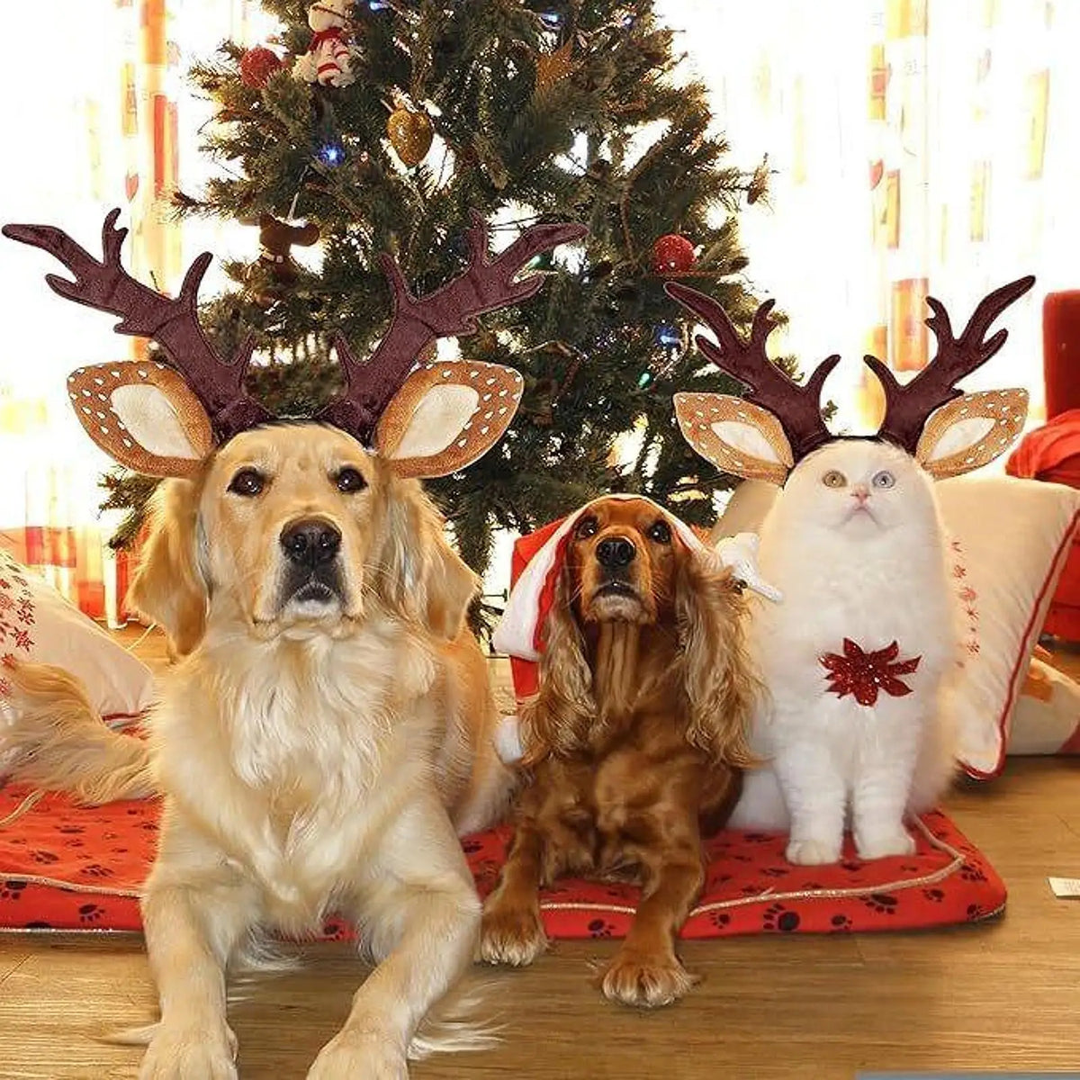 Christmas Reindeer Antlers Headband for Dogs & Cats, Holiday Costume
