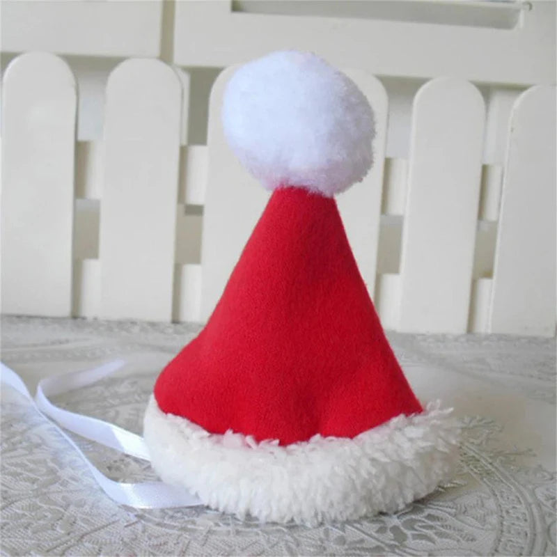 Funny Santa Claus Costume for Small & Medium Dogs and Cats