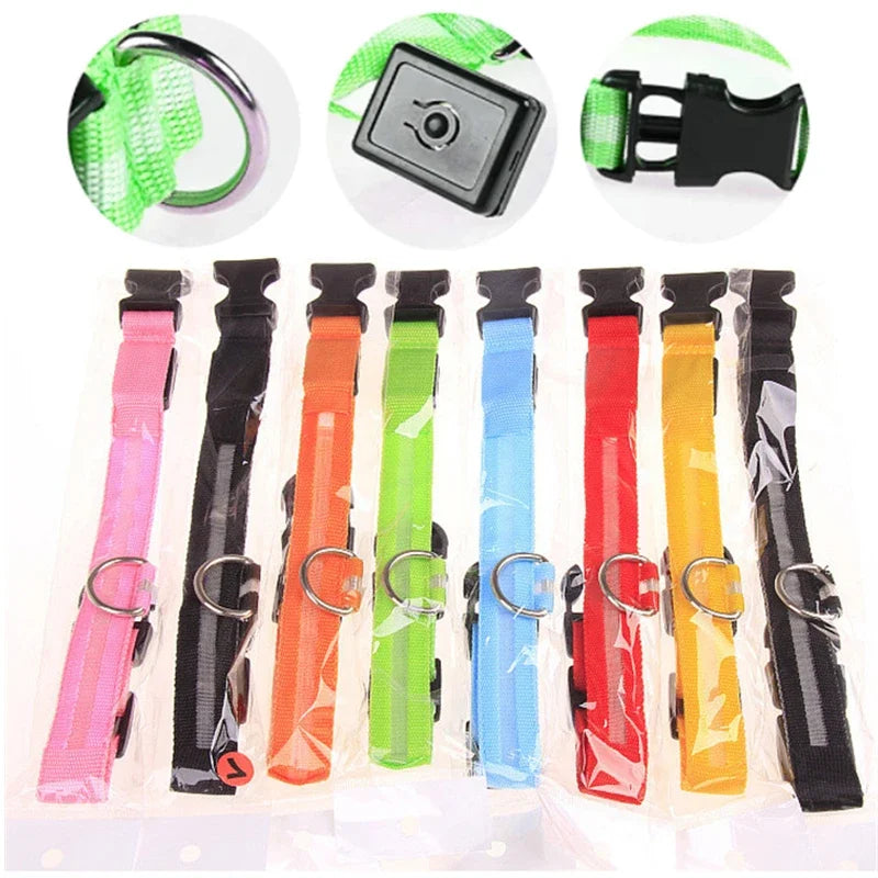 LED Glow Dog Collar – USB Rechargeable Night Safety Collar