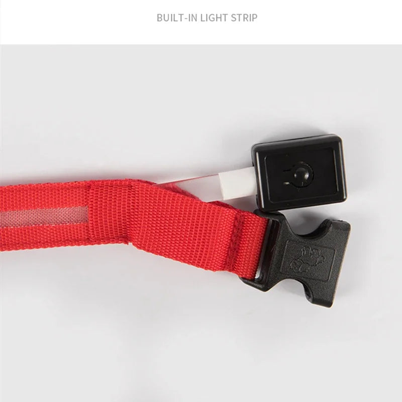LED Glow Dog Collar – USB Rechargeable Night Safety Collar