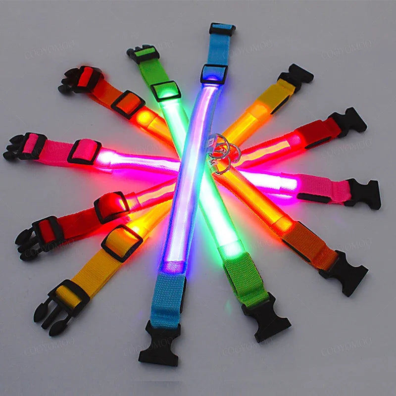 LED Glow Dog Collar – USB Rechargeable Night Safety Collar