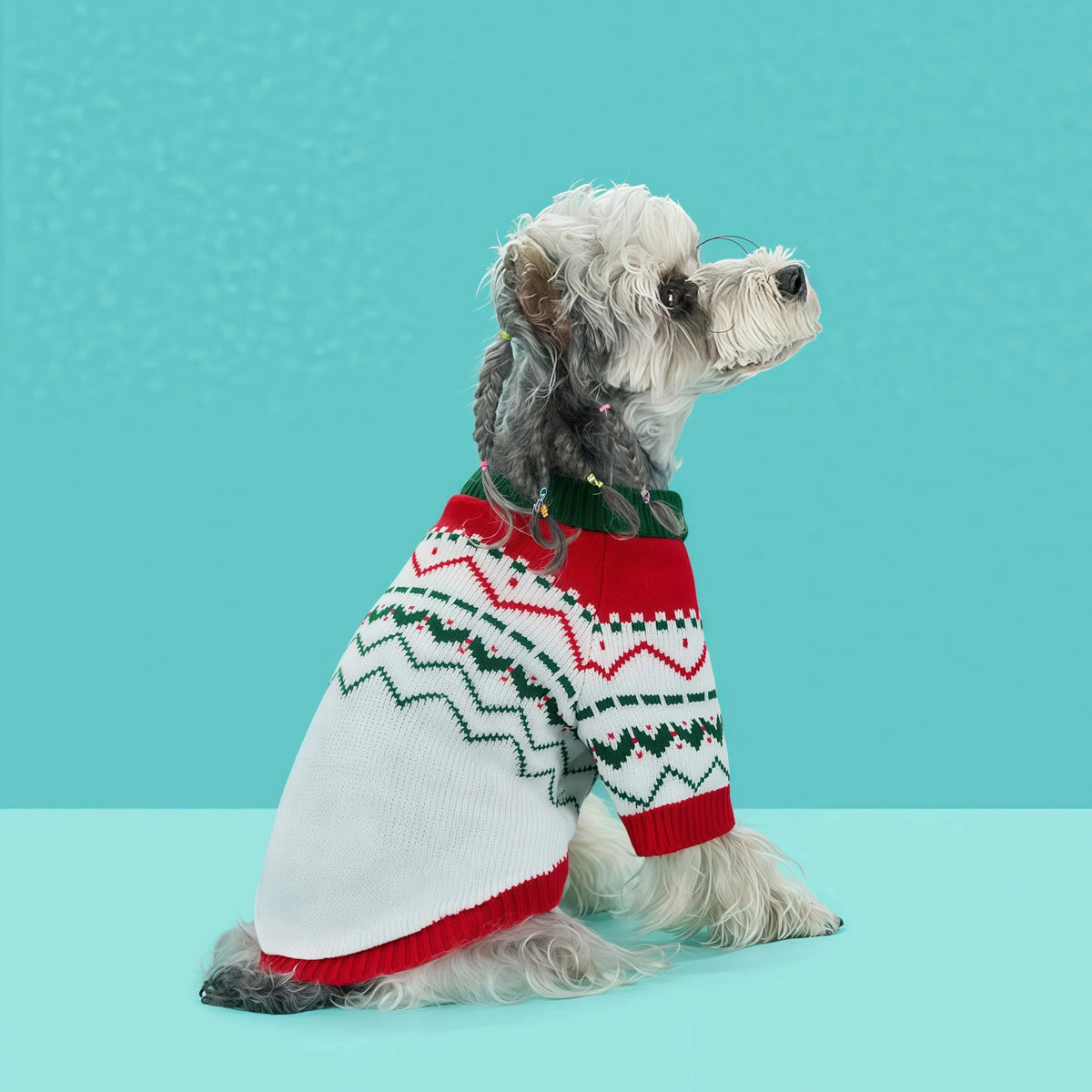 Warm Fall & Winter Pet Sweater for Small and Medium Dogs