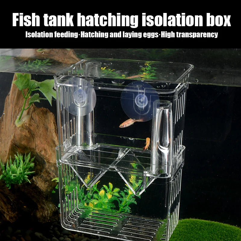 Clear Aquarium Fish Breeder Box, Hatchery for Betta, Guppy & Shrimp