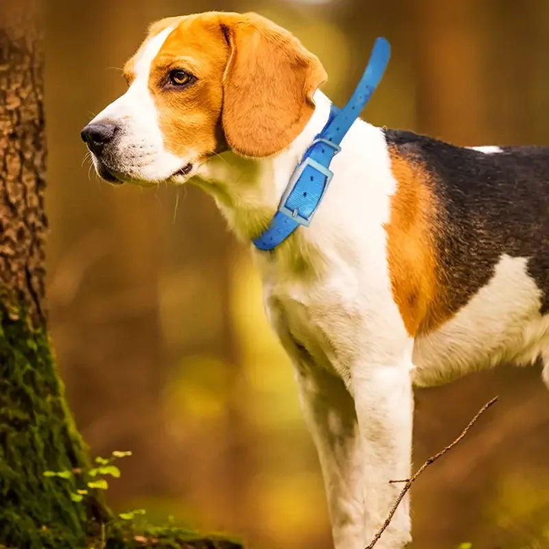Waterproof TPU Dog Collar, Odor-Proof Adjustable Collar for Large Dogs