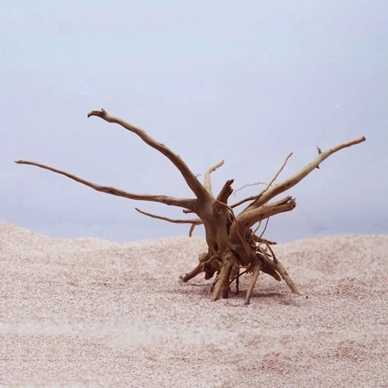 Natural Driftwood Tree Trunk Decor for Aquariums and Reptile Tanks